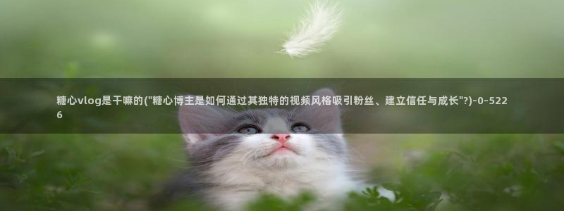 糖心vlog网页版：糖心vlog是干嘛的(\