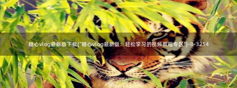 糖心vlog女主角：糖心vlog最新版下载(\