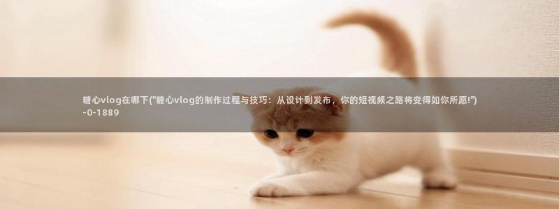 糖心vlog深夜释放自己vlog：糖心vlog在哪下(\