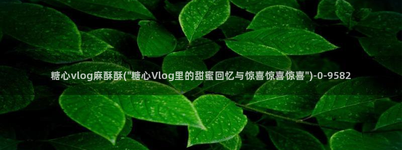 糖心vlog破解版下载连接：糖心vlog麻酥酥(\