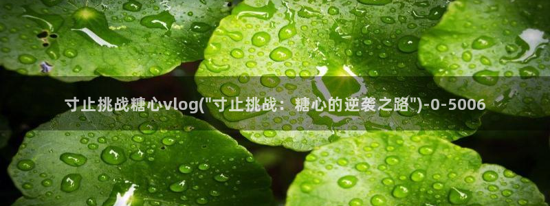 糖心vlog最新网站入口