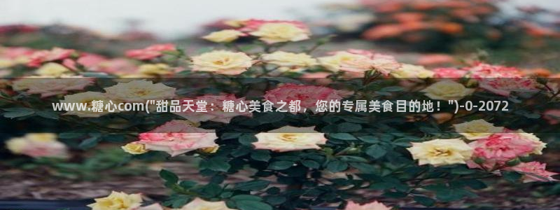 心糖vlog在线免费播放：www.糖心com(\