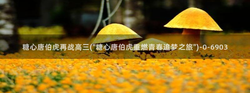 糖心vlog柚子猫内射频：糖心唐伯虎再战高三(\