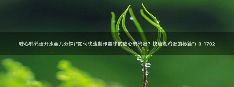 糖心 vlog御梦子