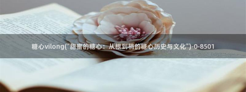 糖必vlog