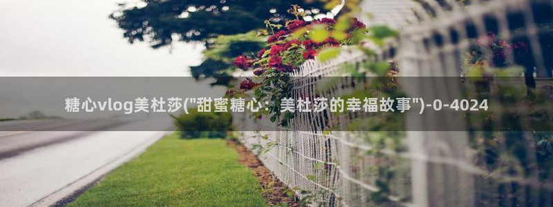 糖心vlog所有作品