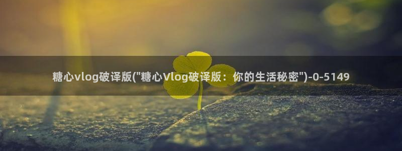 糖心vlog精品一区二区三区