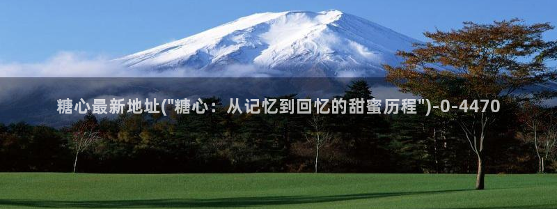 糖心vlog网站进入