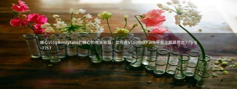 糖心vlog时间