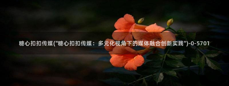 糖心vlog解锁版的功能介绍
