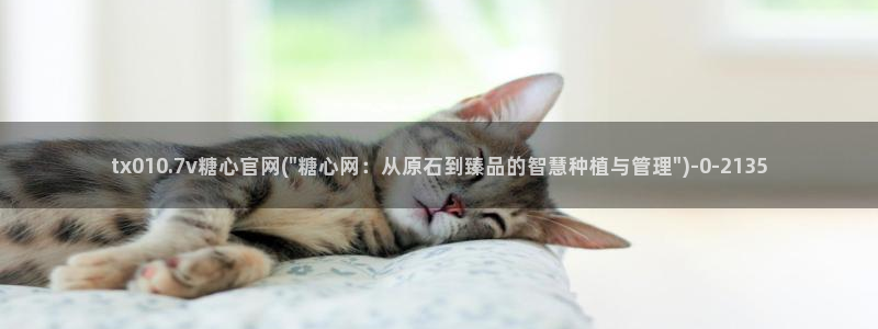 免费版糖心vlog：tx010.7v糖心官网(\